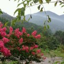 축령산휴림 이미지