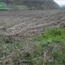 가야리경로당 이미지