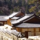 상갈래 도로변 이미지