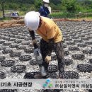 삼일이엔씨주