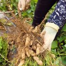 동명어린이집 이미지