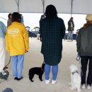 펫시터(반려견) 자격증 과정 이미지