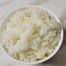 백진주 - 강서구 | 백진주