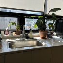 고려한방병원 이미지