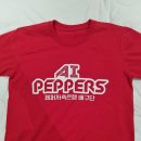 하이파이브 독스 | 251113 페퍼저축은행vs흥국생명 배구 직관 후기