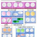 편안한내과의원 | 2026 새해 다짐, 이원경 내과와 함께하는 다이어트 12월 첫주 오픈런후기(취소표)