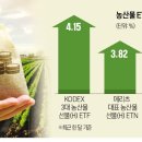 곡창지대 이미지