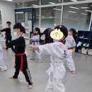 더빛광교태권도장 네이버블로그