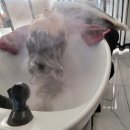 대덕미용실 이미지