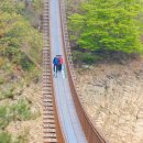 제천 옥순봉 출렁다리 제천여행 충주호 드라이브 코스