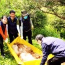 남해농장 이미지