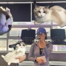 동구아름다운복지관(2대) | 예신 다이어트 돌입! 대구동구헬스장 가성비 최고 “케이짐(K Gym)”