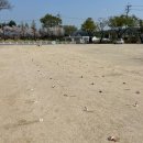 유양초등학교 이미지