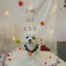 늘, 이쁘개 네이버블로그