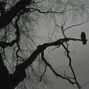 용차이나 이미지