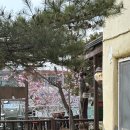 그리운보리밥 | 속초맛집 그리운보리밥 내돈내산 후기
