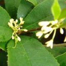 계화농장 이미지