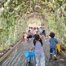 초원어린이집 이미지