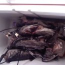 카짱모터스 이미지