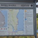 제4차 해파랑길(2024.6.7~10) 경주, 포항구간 이미지