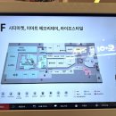 레이디하우스다이소