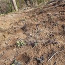 부식농장 이미지