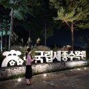 반려식물 원예아트 | 국립세종수목원 야간개장 방문후기(야간개장 관람포인트 총정리)