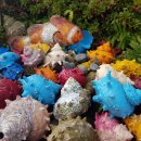 연송갈치요리 이미지