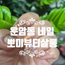 뽀미랑 | 운암동네일 전문 뽀미뷰티살롱 후기 내 손에 제대로 딱 맞는 네일아트