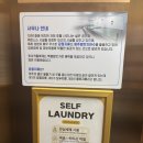 호텔빠레브 | 제주호텔 :: 제주 서귀포 호텔 4성급 호텔 오션뷰가 멋지던 제주 빠레브호텔 (사우나, 조식 상세 후기)