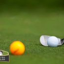 더골프쇼마켓