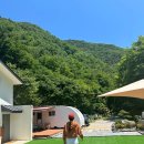 산내음 물소리 | [공지] 단양 숙소 추천 울창한 숲 뷰와 시냇물 소리가 아름다운 에어비앤비 산내음물소리