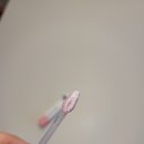 비바코리아 이미지