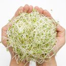 크로바농산물 이미지