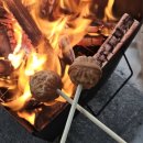 숲속의 예쁜별 이미지