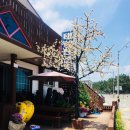 인도양펜션 이미지