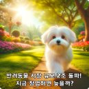 반려동물 시장 규모 2조 돌파! 지금 창업하면 늦을까?