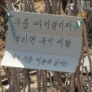 일상 등산 달리기 제철 음식 내돈내산 솔직후기 민희진