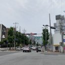 사파동174 이미지