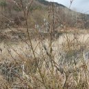 웰빙농장 이미지