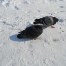 의흥중학교 이미지