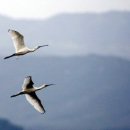 풀밭나라 이미지