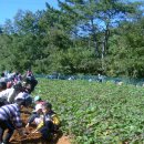 해미초등학교 이미지