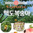 백도