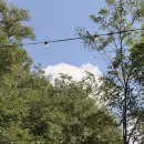 고요한꽃뜰 | <남산뜰> 친구 결혼식 갔다가 야외 예식 관심 생겼던 방문 후기💐