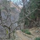 보성글로벌