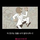 드림아일랜드투어주