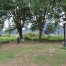 잉카마야박물관캠핑장 이미지