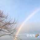 피닉스홀리데이 이미지