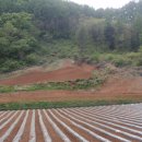 인선공인중개사사무소 이미지